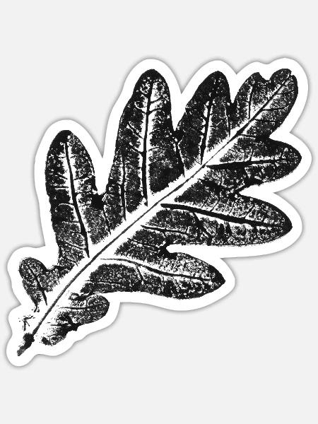 Eichenblatt - Natur & Wald Botanik Design - Sticker Größe S (10 x 10 cm) - Mattweiß