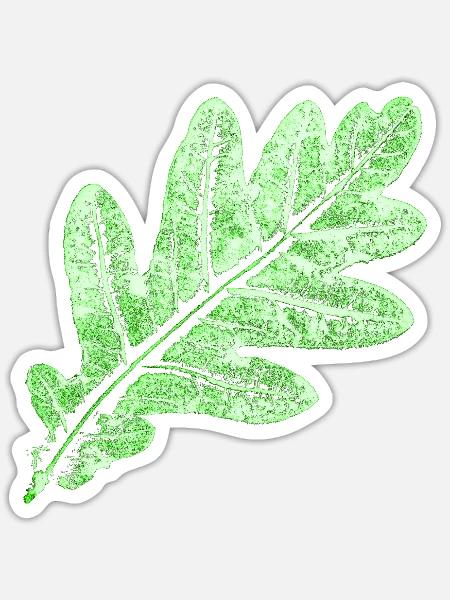 Eichenblatt / Blätter Botanik & Natur Design - Sticker Größe S (10 x 10 cm) - Mattweiß