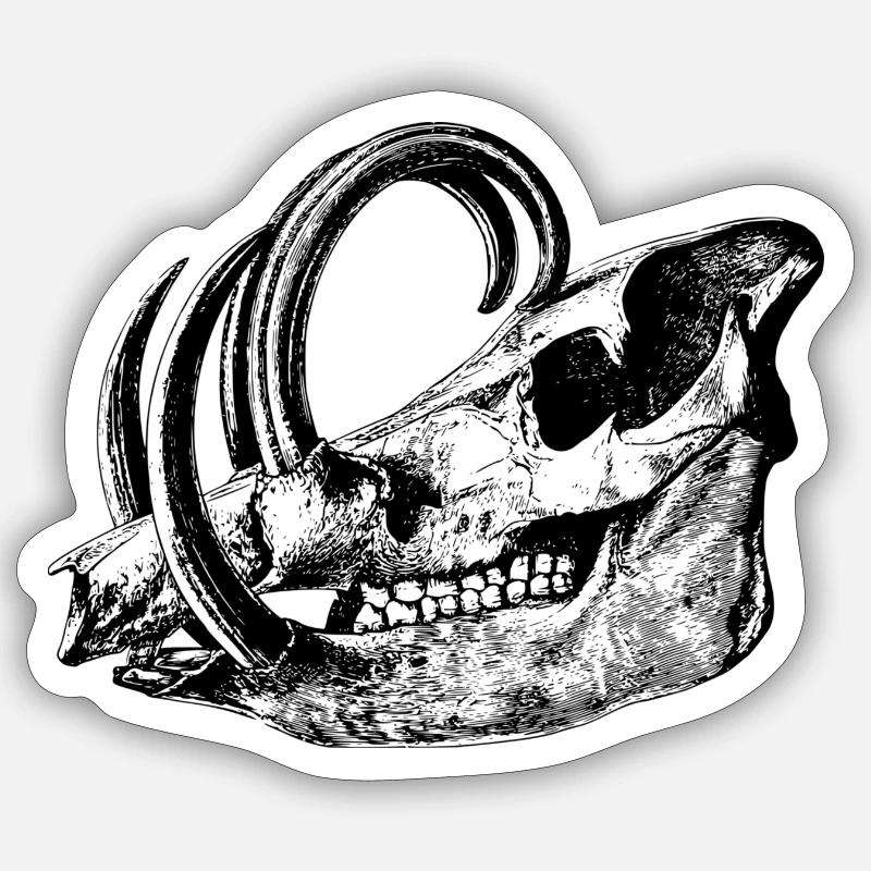 Wildschweinschädel - Sticker taille S (10 x 10 cm) - blanc mat