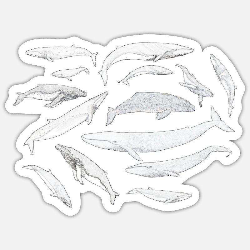 Baleines - Baleines - Baleines - Sticker taille S (10 x 10 cm) - blanc mat