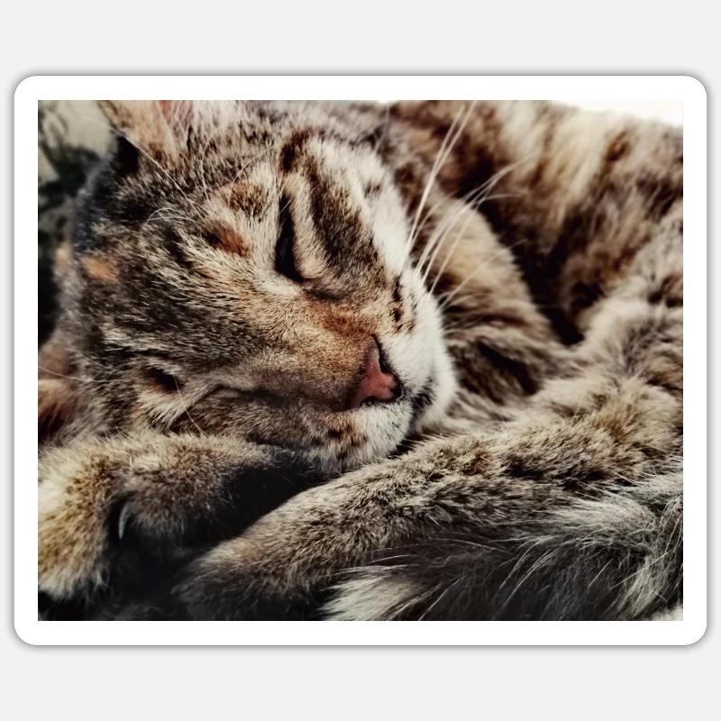 Cozy - Sticker Größe S (10 x 10 cm) - Mattweiß