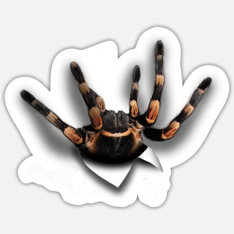 Spider - Sticker size S (10 x 10 cm) - white matte