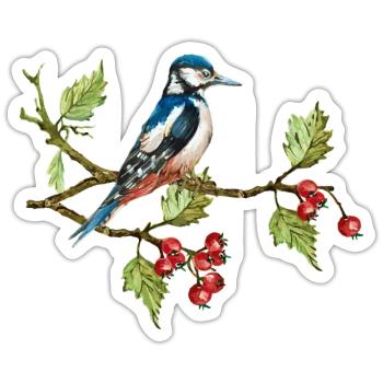 Colorful bird - Sticker size S (10 x 10 cm) - white matte - Front