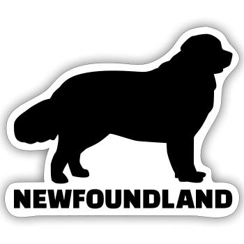 Newfoundland - Sticker size S (10 x 10 cm) - white matte - Front