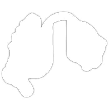 angling - Sticker size S (10 x 10 cm) - white matte - Front
