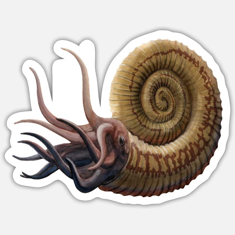 Ammonites - Sticker taille S (10 x 10 cm) - blanc mat