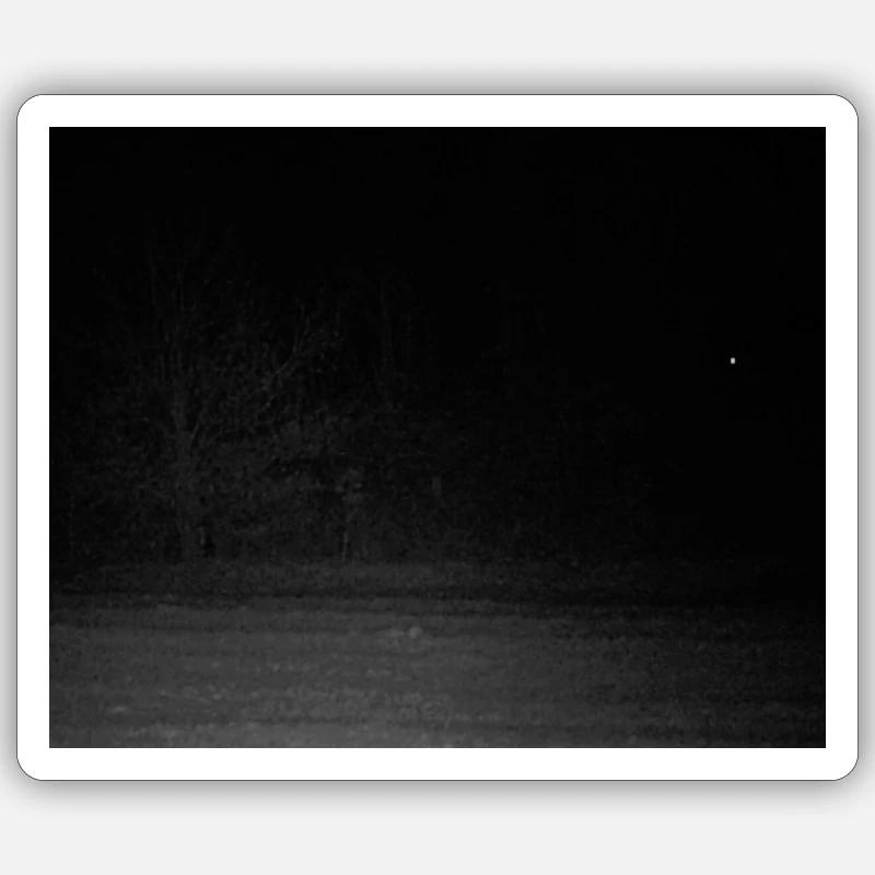 Créature effrayante dans la forêt - Sticker taille S (10 x 10 cm) - blanc mat