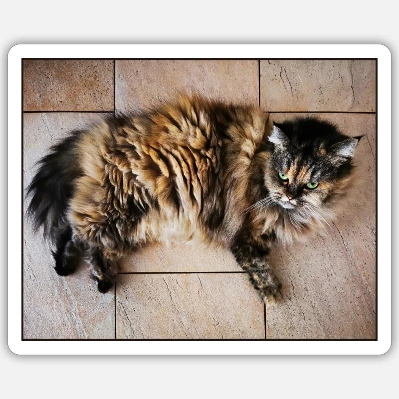 Chaton - Sticker taille S (10 x 10 cm) - blanc mat