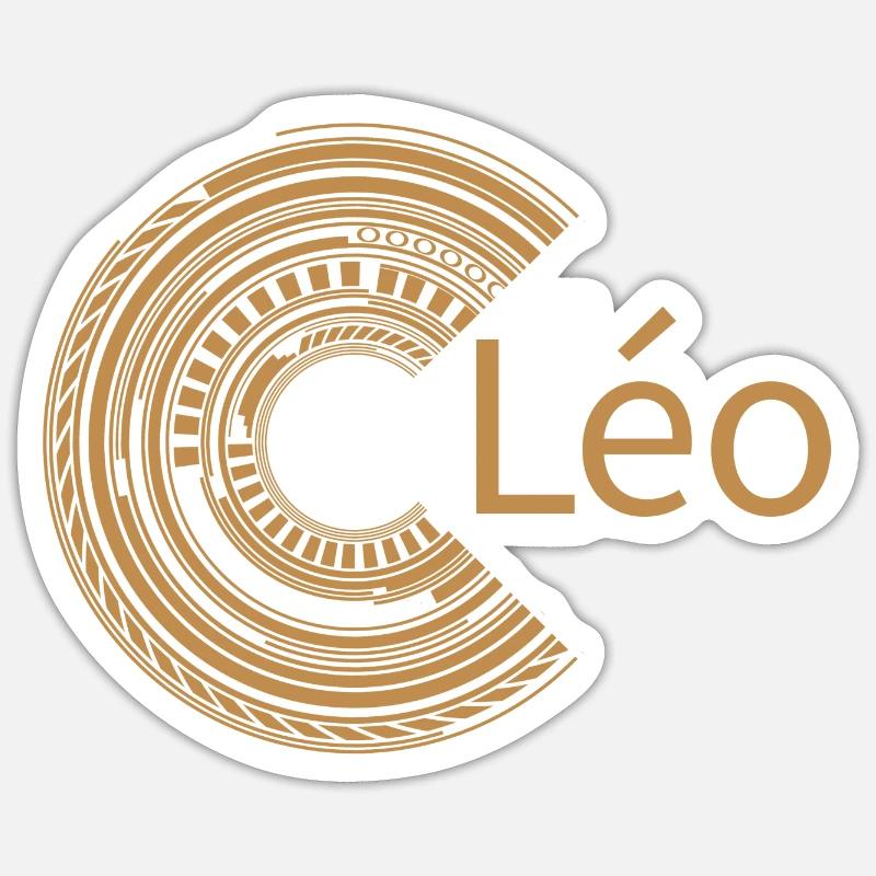 Pour Léo - Sticker taille S (10 x 10 cm) - blanc mat