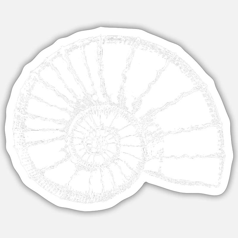 Ammonite - Sticker size S (10 x 10 cm) - white matte