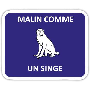 Clever wie ein Affe - Sticker Größe S (10 x 10 cm) - Mattweiß - Vorne
