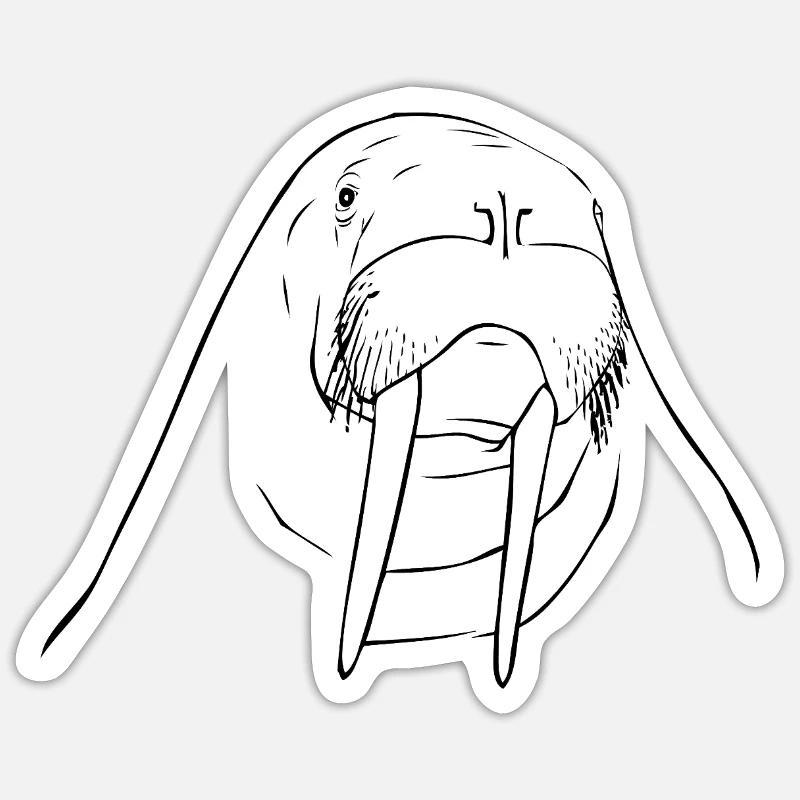 Walross - Sticker Größe S (10 x 10 cm) - Mattweiß