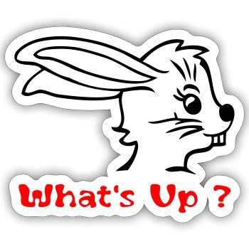 Hase im Osterstress - Sticker Größe S (10 x 10 cm) - Mattweiß - Vorne
