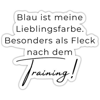 Voltigieren Training: Lustiger Volti Spruch - Sticker Größe S (10 x 10 cm) - Mattweiß - Vorne