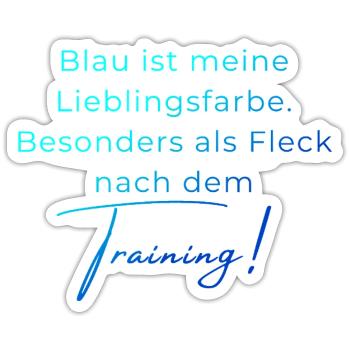 Voltigieren Training: Lustiger Volti Spruch - Sticker Größe S (10 x 10 cm) - Mattweiß - Vorne