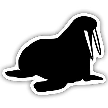Walrus - Sticker size S (10 x 10 cm) - white matte - Front