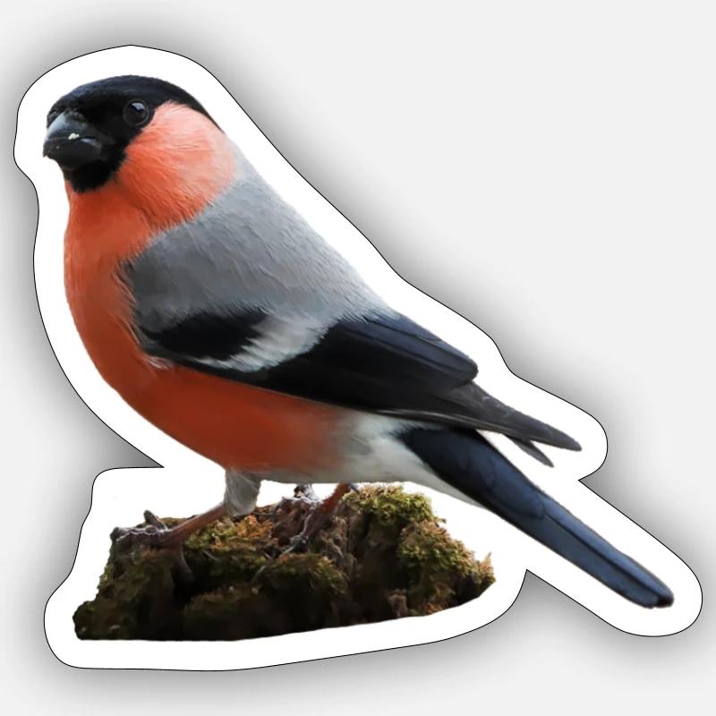 Gimpel - Sticker Größe S (10 x 10 cm) - Mattweiß
