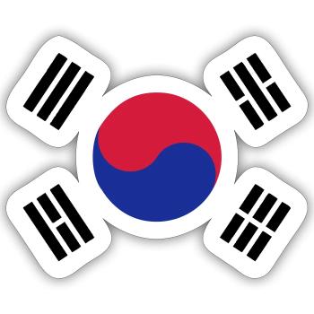 Emblème du drapeau Corée du Sud Corée - Sticker taille S (10 x 10 cm) - blanc mat - Devant