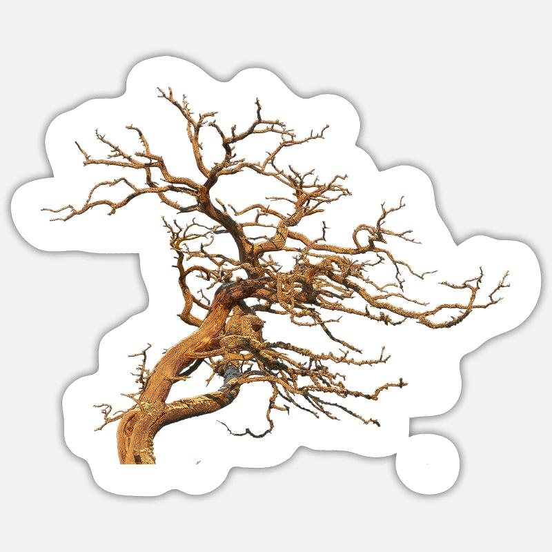 Baum - Sticker Größe S (10 x 10 cm) - Mattweiß