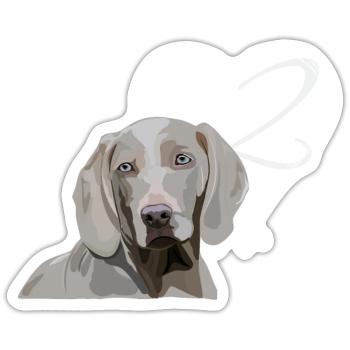 Weimaraner - 2. Geburtstag - Sticker Größe S (10 x 10 cm) - Mattweiß - Vorne