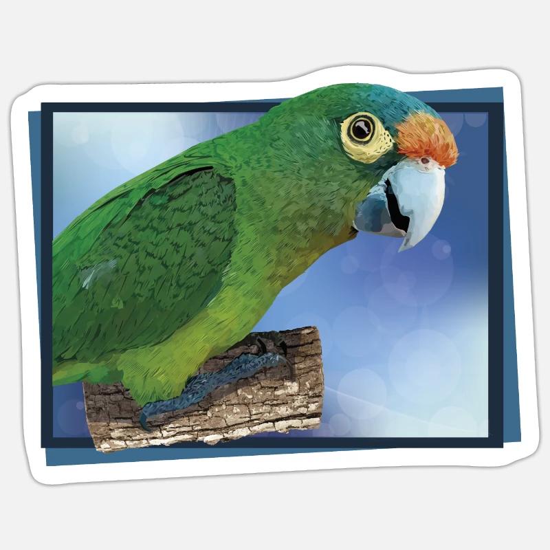 Orange-fronted parakeet - Sticker size S (10 x 10 cm) - white matte