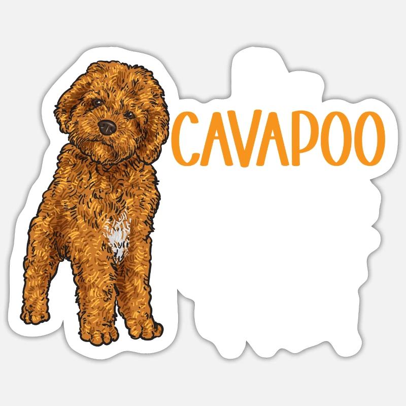 Cavapoo Cavoodle Capoodle Dog - Sticker size S (10 x 10 cm) - white matte