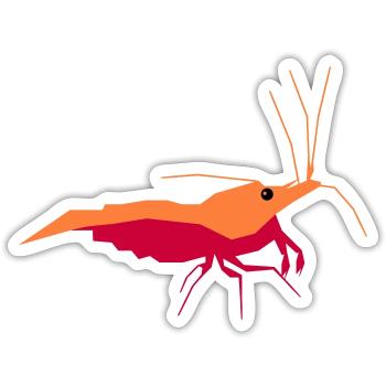 GARNELEN4YOU Shrimp Baby - Sticker Größe S (10 x 10 cm) - Mattweiß - Vorne