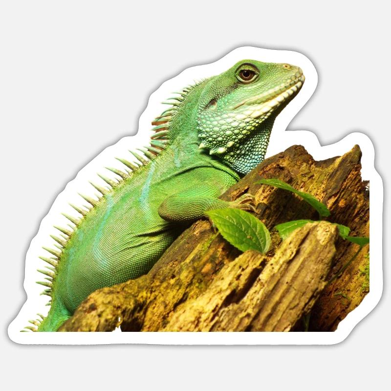 Water agama - Sticker size S (10 x 10 cm) - white matte