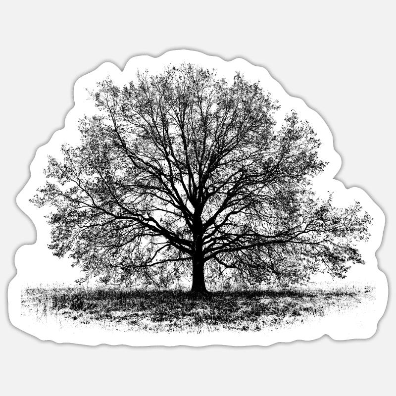 Tree in black - Sticker size S (10 x 10 cm) - white matte