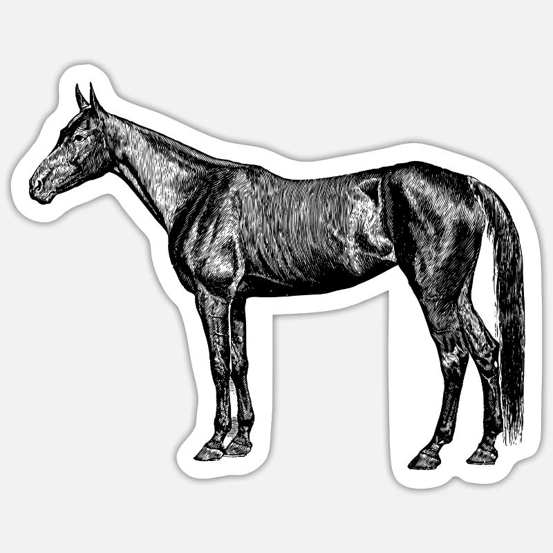 Pferde - Sticker Größe S (10 x 10 cm) - Mattweiß