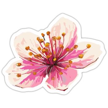 Fleur de cerisier - Sticker taille S (10 x 10 cm) - blanc mat - Devant