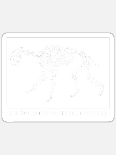 Säbelzahntiger Urzeit - Sticker Größe S (10 x 10 cm) - Mattweiß