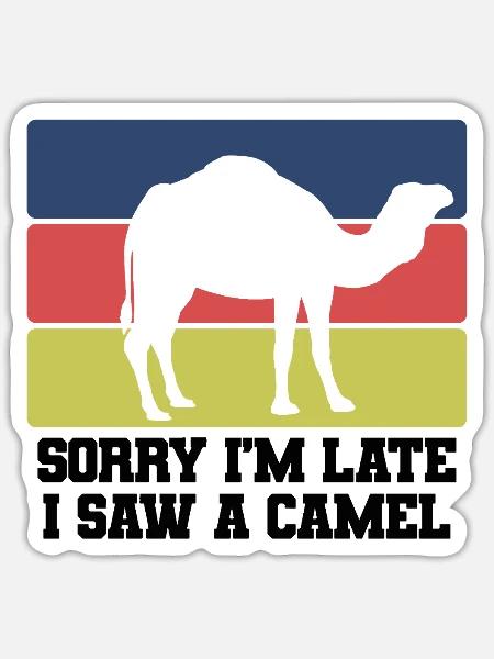 Kamel Humor Retro - Sticker Größe S (10 x 10 cm) - Mattweiß