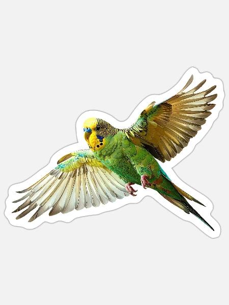 Wellensittich Kanarienvogel - Sticker Größe S (10 x 10 cm) - Mattweiß