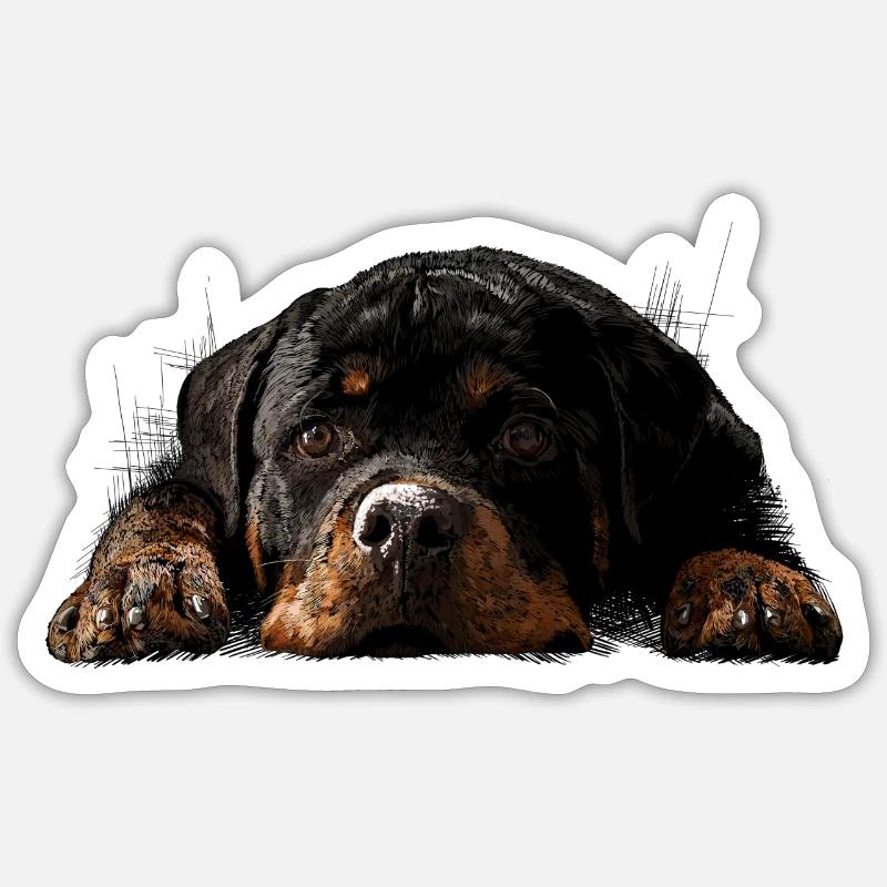 Rottweiler - Sticker taille S (10 x 10 cm) - blanc mat