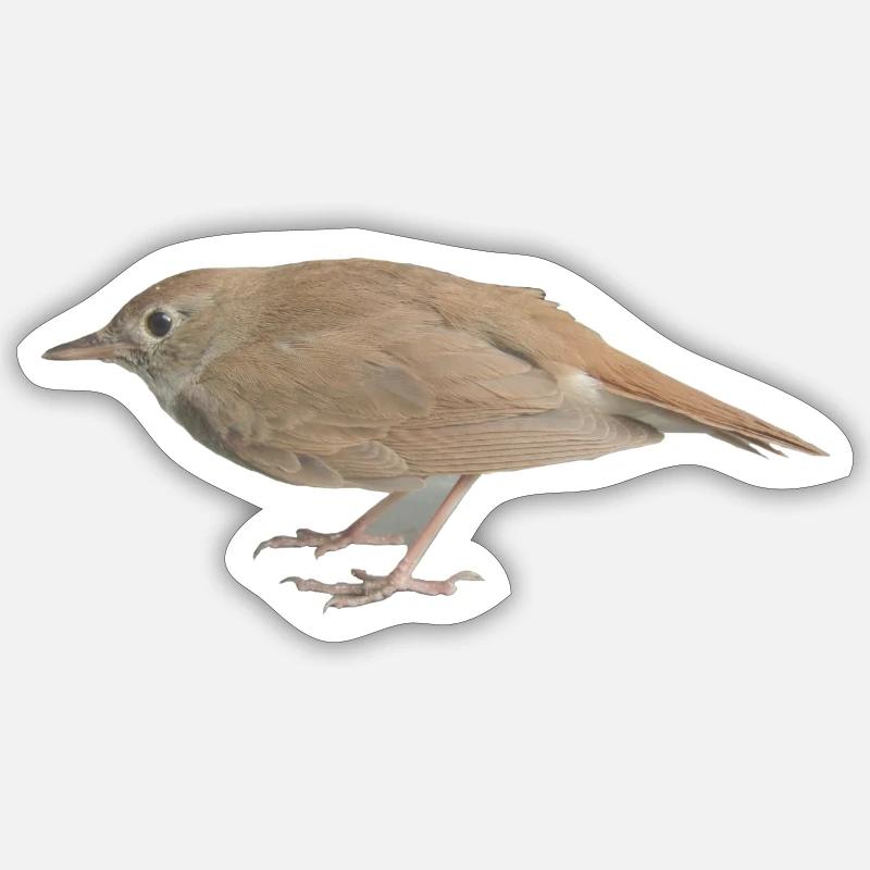 Rossignol oiseau Sticker taille S (10 x 10 cm)