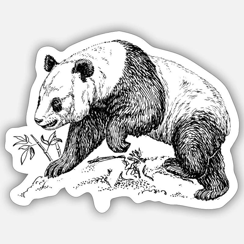 ours panda - Sticker taille S (10 x 10 cm) - blanc mat