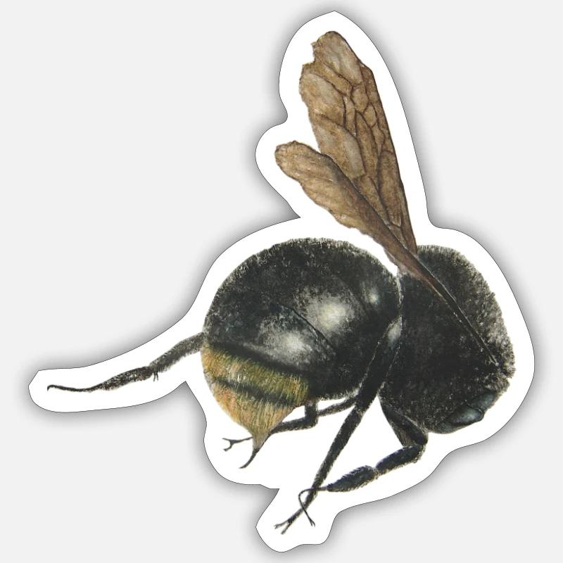 bumblebee - Sticker size S (10 x 10 cm) - white matte