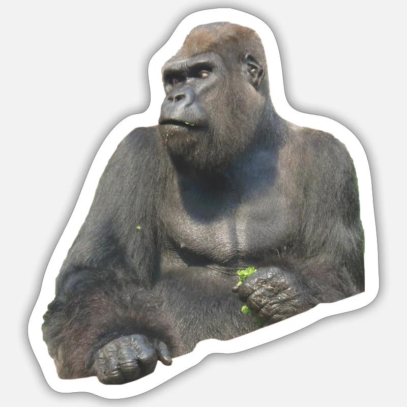 gorilla - Sticker taille S (10 x 10 cm) - blanc mat