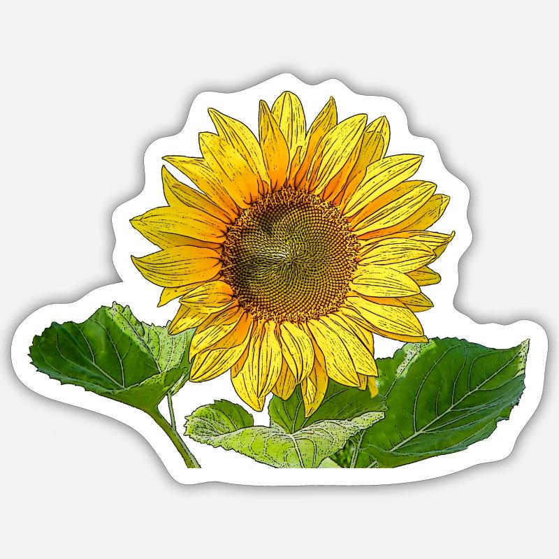 Sonnenblume Sticker Größe S (10 x 10 cm)