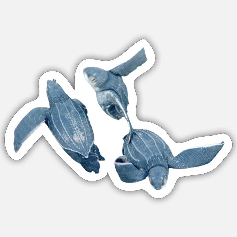 leatherback turtle 2 - Sticker size S (10 x 10 cm) - white matte