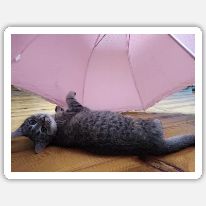 chat, cocur, chatte Sticker taille S (10 x 10 cm)