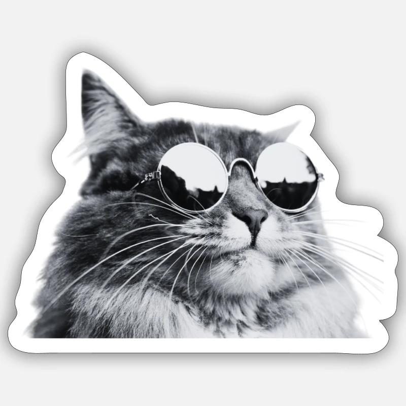 Sticker formato S (10 x 10 cm) - 