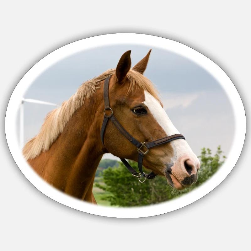 Cheval. Cheval. - Sticker taille S (10 x 10 cm) - blanc mat