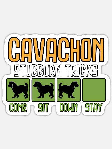 Cavachon Hund Tricks Spruch Sprüche Lustig - Sticker Größe S (10 x 10 cm) - Mattweiß