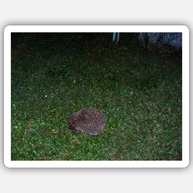 Igel - Sticker Größe S (10 x 10 cm) - Mattweiß