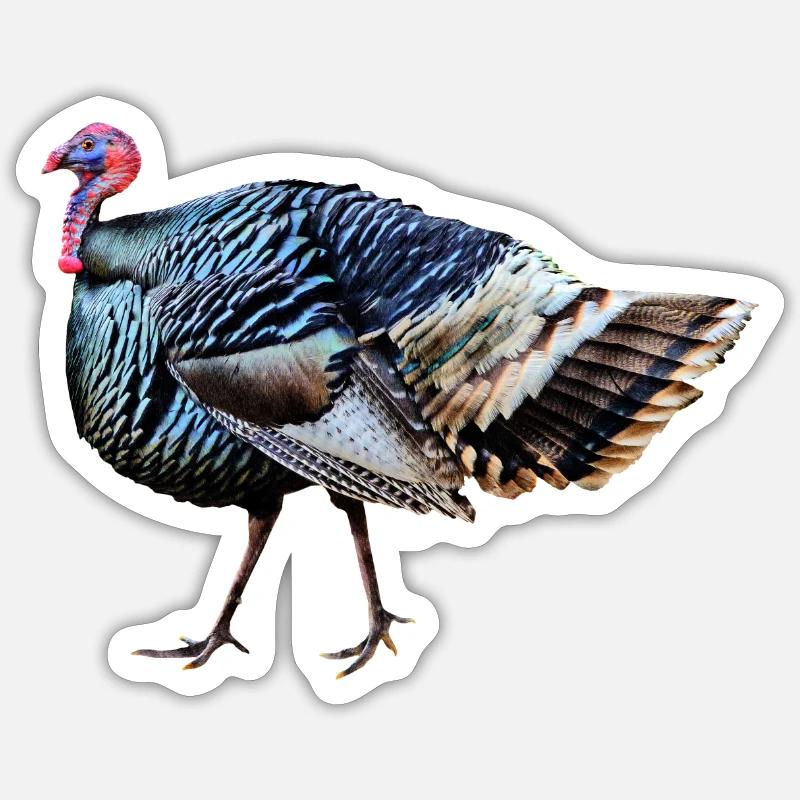 dinde - Sticker taille S (10 x 10 cm) - blanc mat
