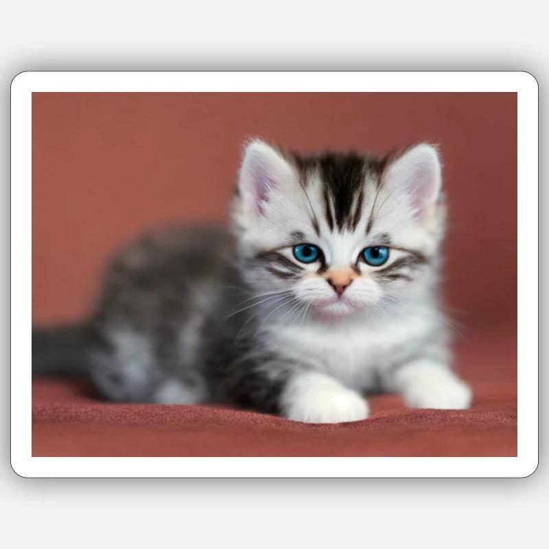 Blauäugiges Kätzchen Sticker Größe S (10 x 10 cm)