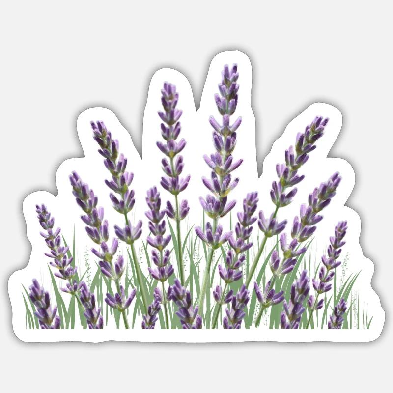 Tiges de lavande Lavande - Sticker taille S (10 x 10 cm) - blanc mat