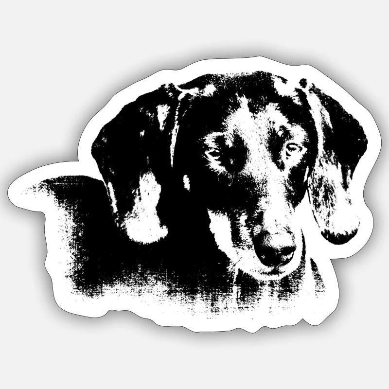 Dachshund head - Sticker size S (10 x 10 cm) - white matte